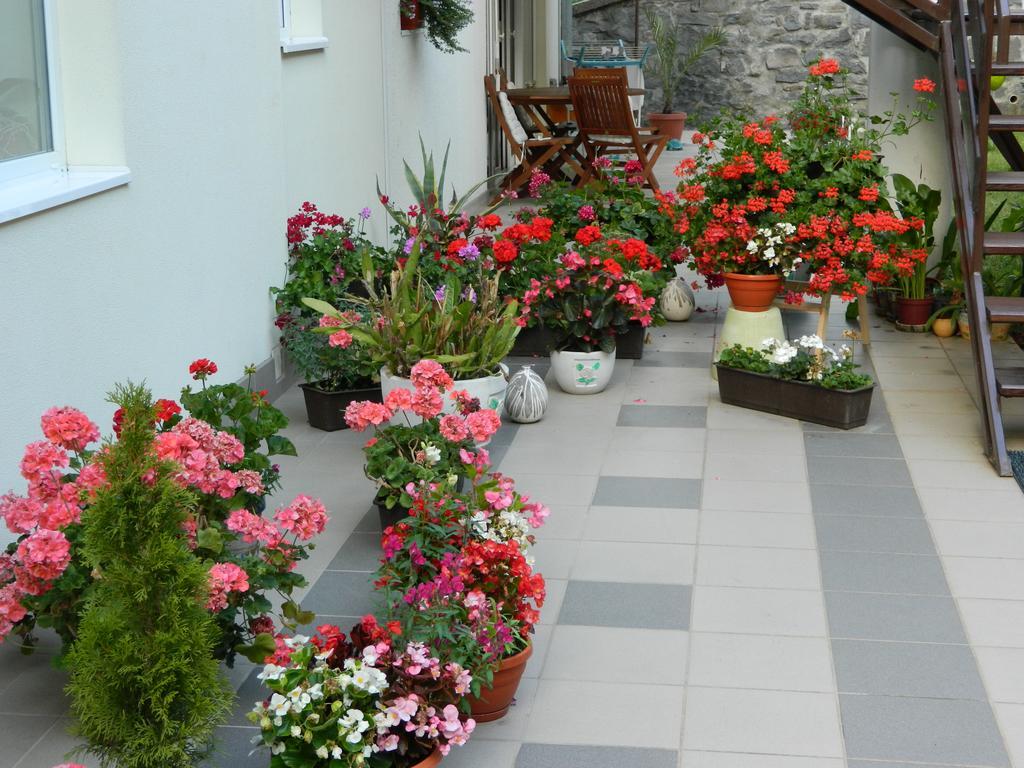 Casa Anette Daire Sovata Dış mekan fotoğraf