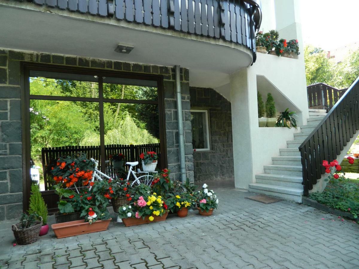 Casa Anette Daire Sovata Dış mekan fotoğraf